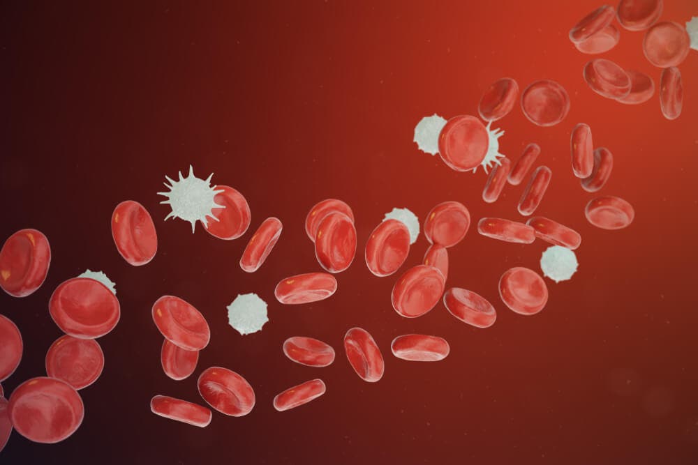 Nötrofilin fonksiyonları, sayımı ve hakkında bilinmesi gerekenler