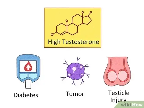 Testosteronun Gizemli Yanları