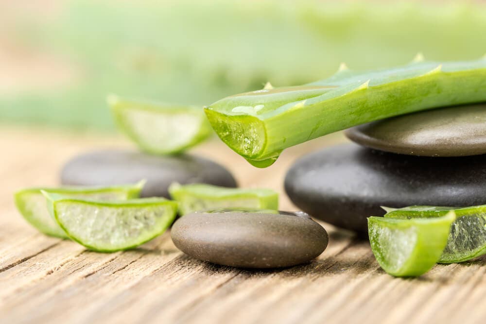 Aloe vera: Şifa verici ve bağışıklık dostu