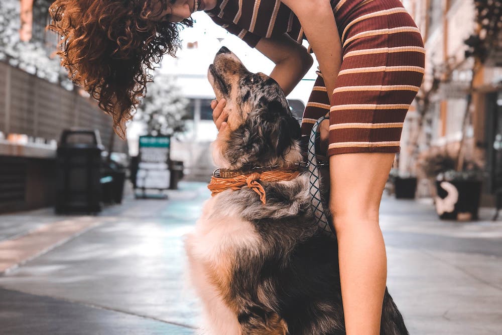 Duygusal destek köpeğinin hayatınızı değiştirmesinin 9 yolu