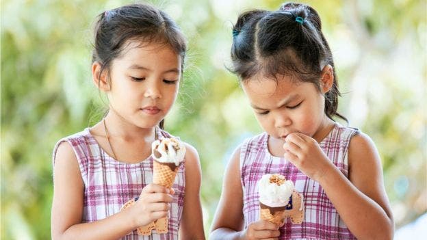 Tek yumurta ikizleri bile gıdalara farklı tepkiler veriyor