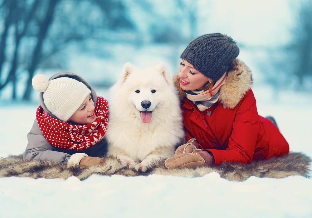 Köpek sahibi olmanız için 7 neden!