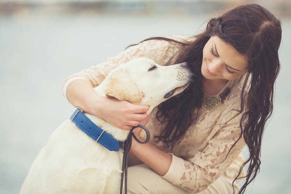 İlk kez köpek sahiplenecekler için en gerekli 10 ürün