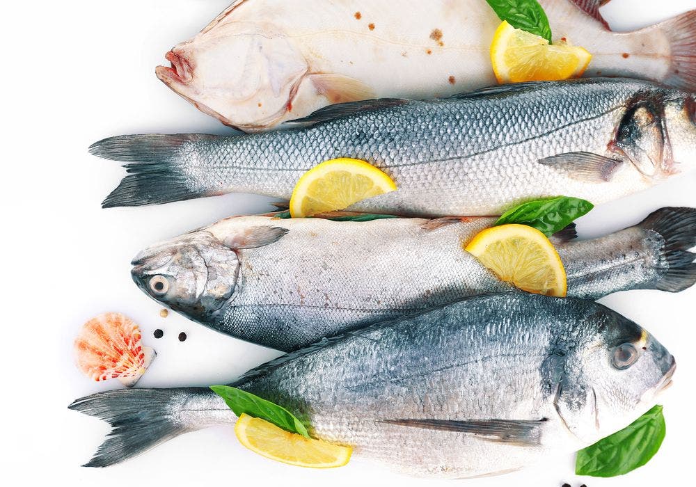 Omega-3 Yağ Asitleri Kan-Beyin Bariyerini Korur