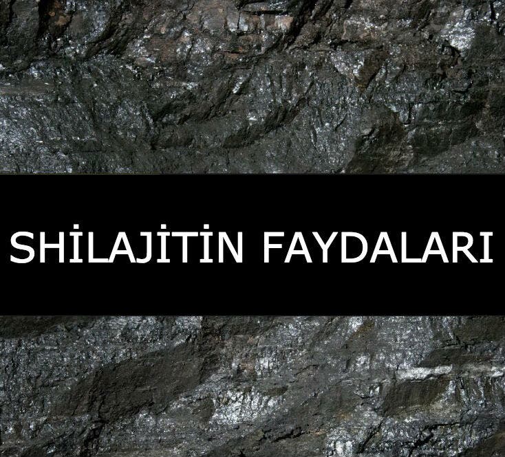 Shilajit – Antik zihin güçlendiren, hormonları düzenleyen tıbbi bitki