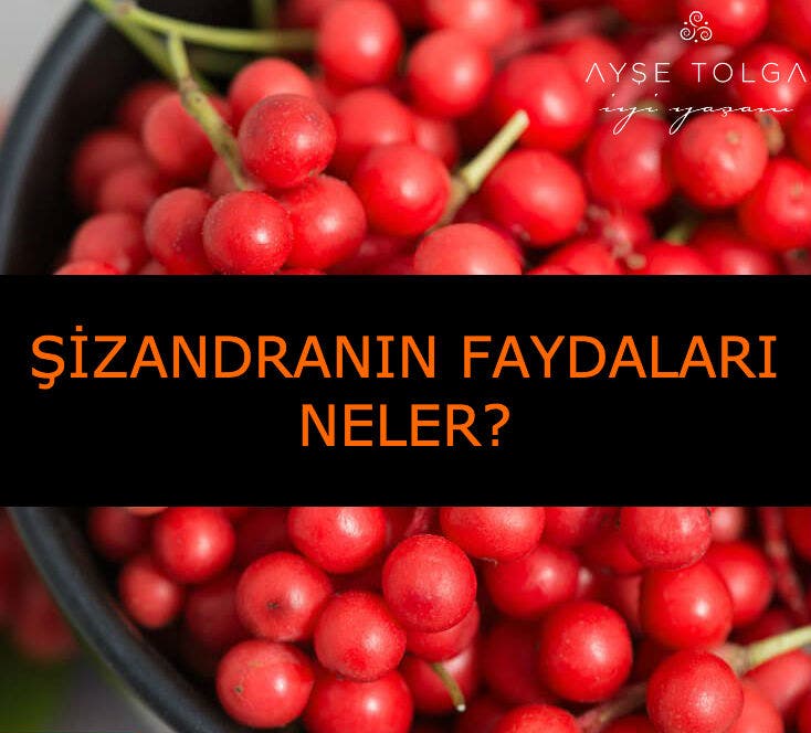 Şizandra, böbreküstü bezleri ve karaciğer detoksu için faydalı