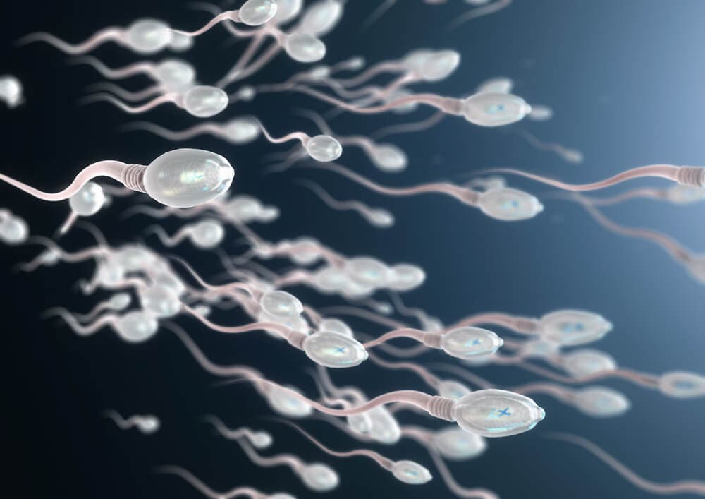 Sperm hareketliliği doğurganlığı etkiler mi?