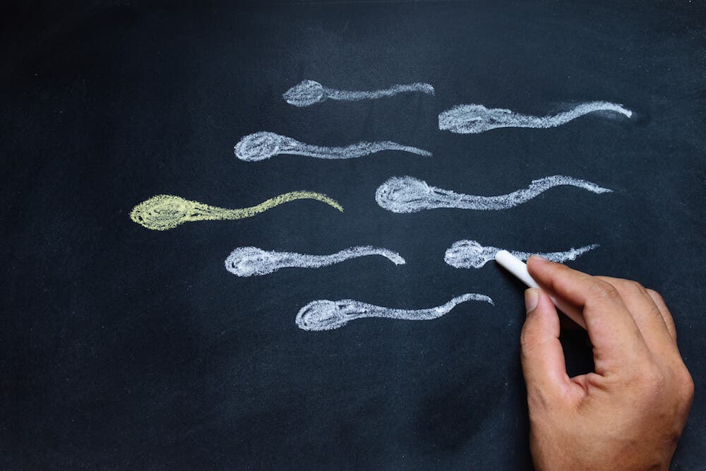 Sperm sayısını arttıran ipuçları ve besinler