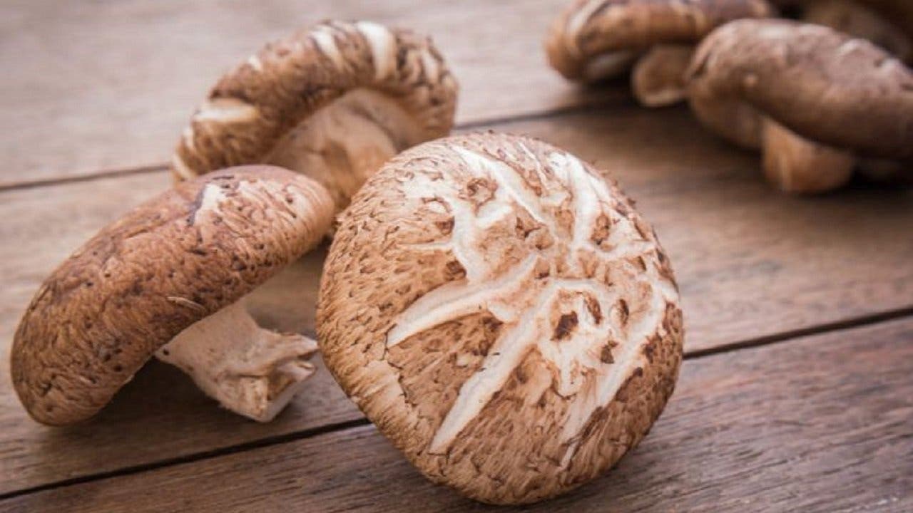 Shiitake Mantarı Nedir, Ne İşe Yarar?