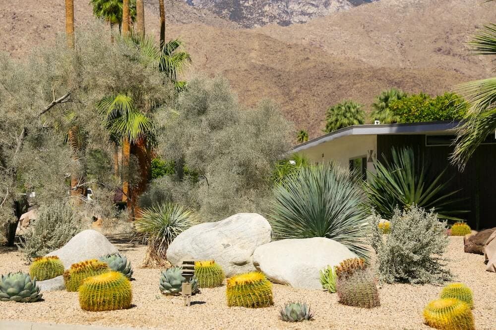 Xeriscape Nedir?